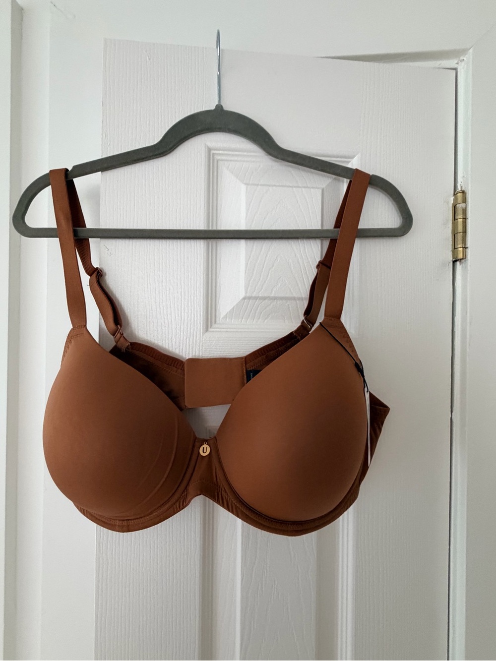 Seamless Everyday Molded Bra in Chestnut